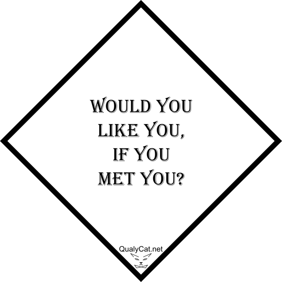 [:en]would you like you if you met you[:]